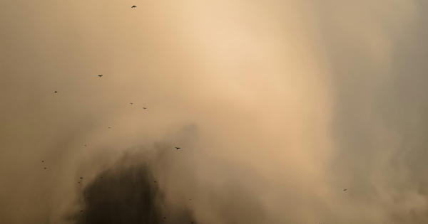 Dust Storm Warning