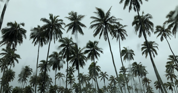 Tropical Storm Watch