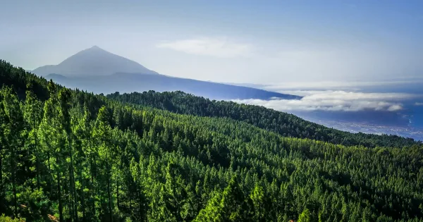 Canary Islands weather
